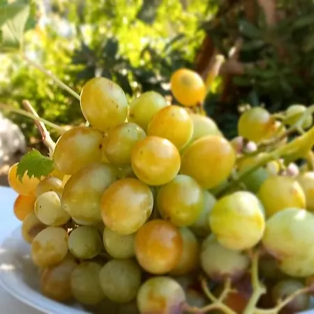 Apartment Leros Eleonas