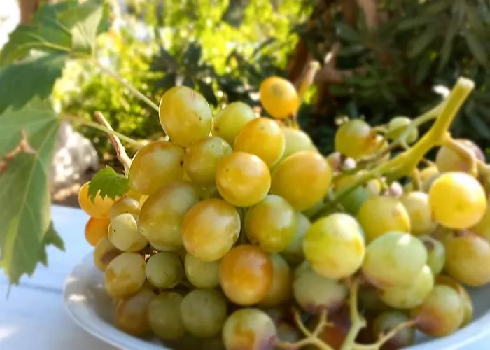 Apartamento Leros Eleonas